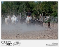 316-1620 x 1080---16L Camargue_2577